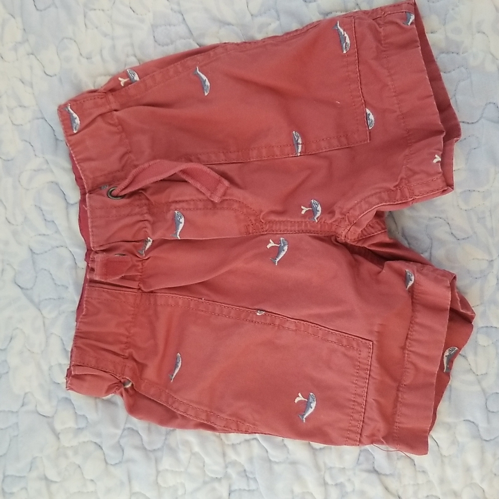 Boys Crew Cuts Shorts with Embroidered Shark